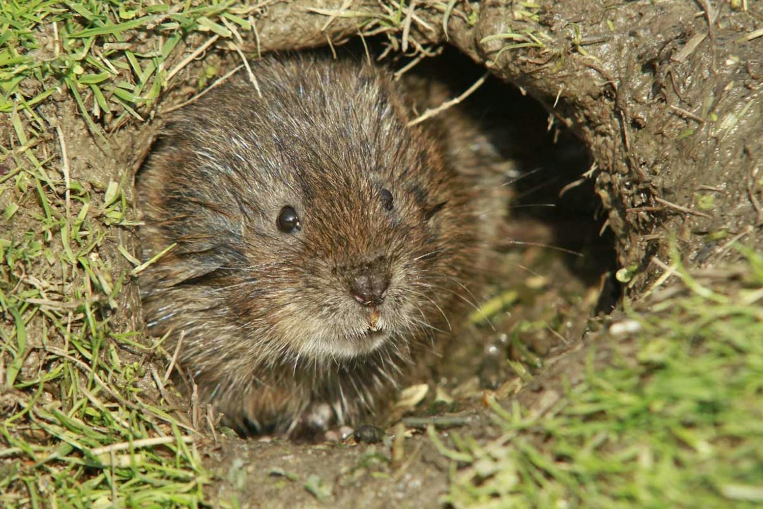 Slik kan du unngå vånd Slik kan du unngå vånd